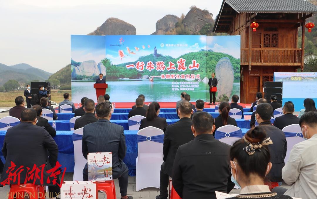 10只国家一级保护动物朱鹮放归崀山_邵阳头条网